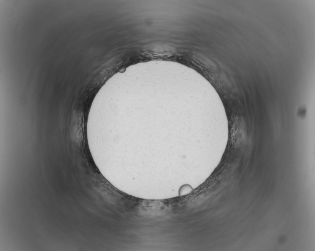 X0000116840866201001151245