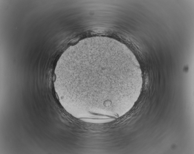 X0000116840868201001151245