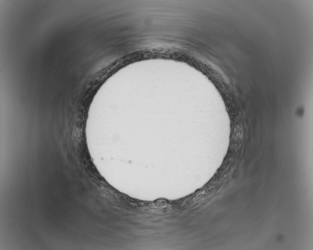 X0000116840869201001151245