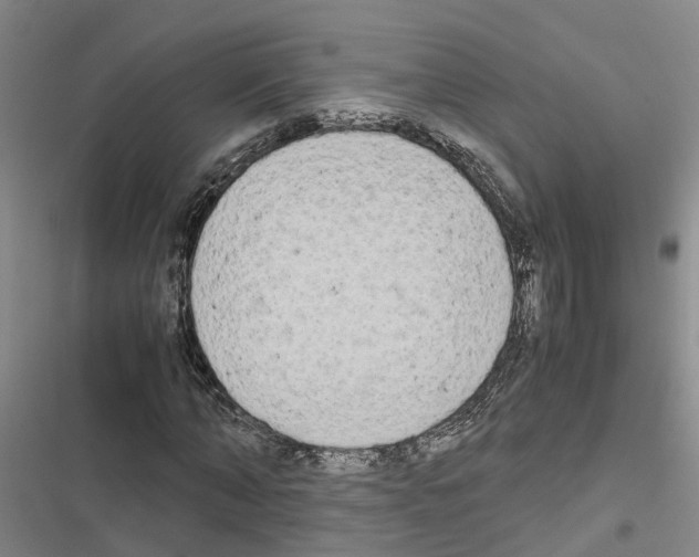 X0000116840870201001151245