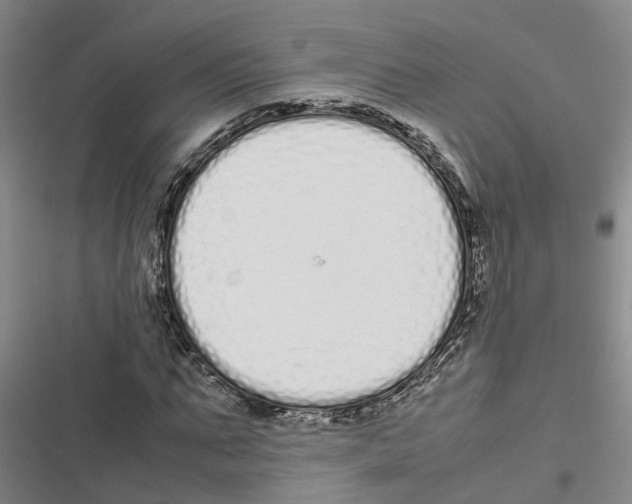 X0000116840871201001151245