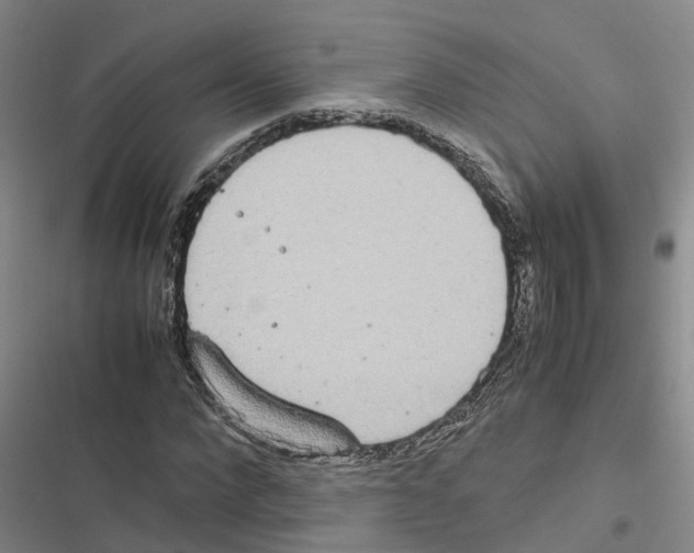 X0000116840872201001151245