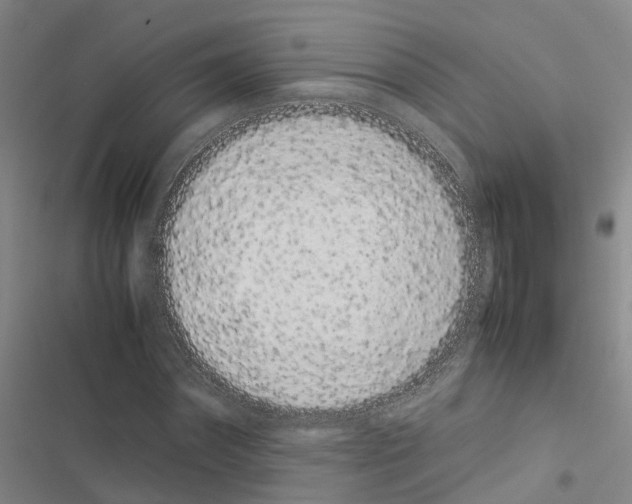 X0000116840874201001151245