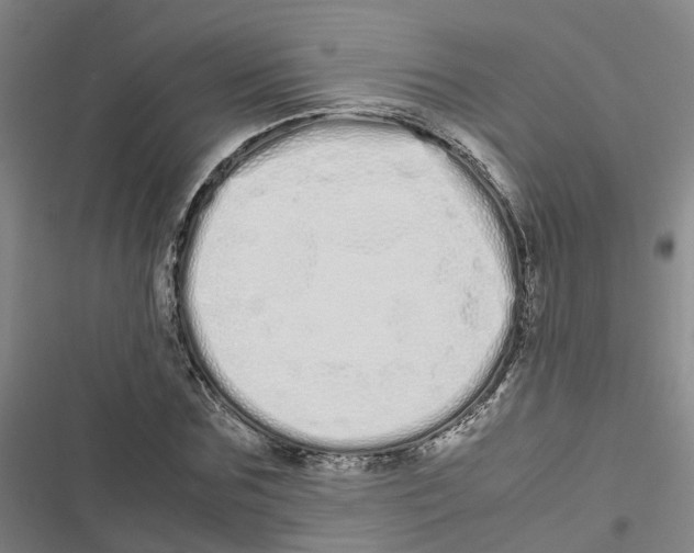 X0000116840875201001151245