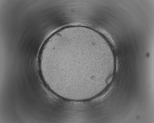 X0000116840876201001151245