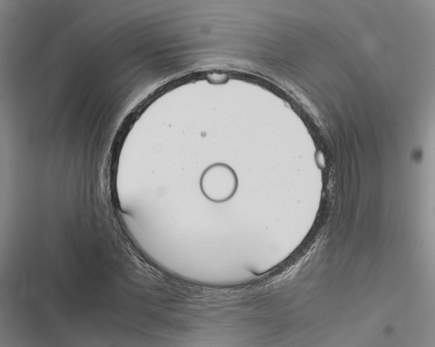 X0000116840877201001151245