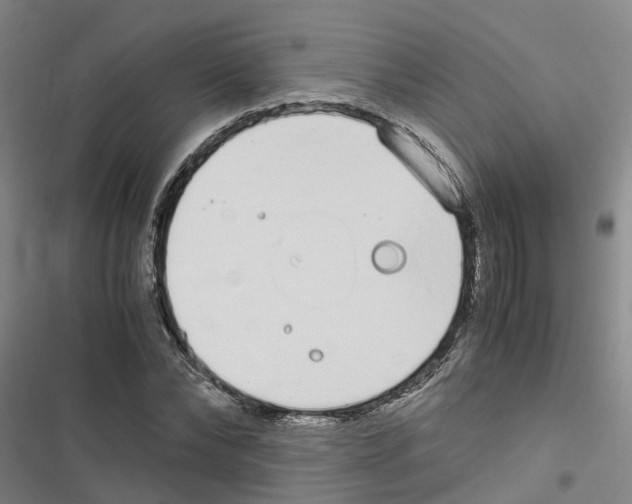 X0000116840878201001151245