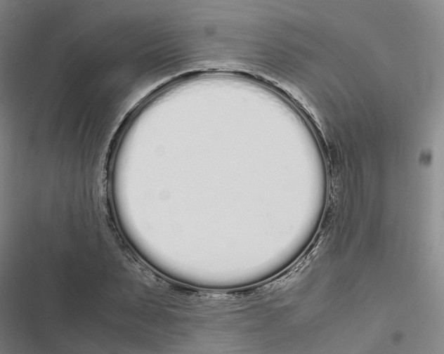 X0000116840879201001151245