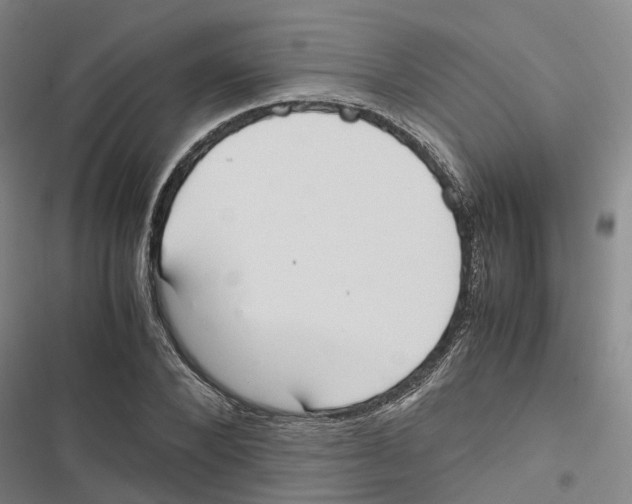 X0000116840880201001151245