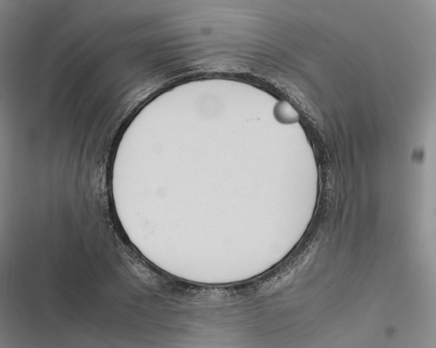 X0000116840881201001151245