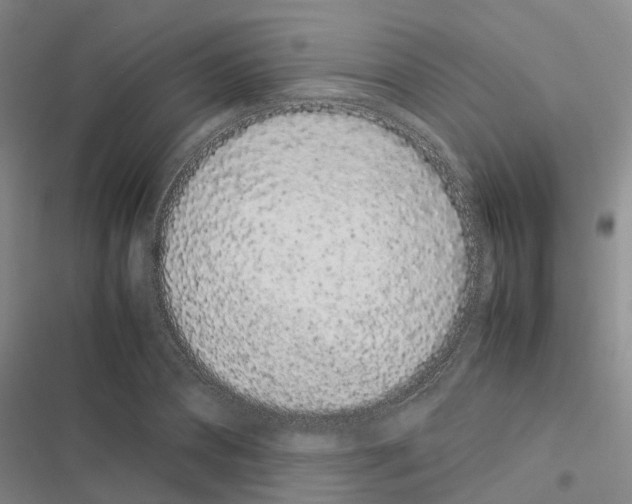 X0000116840882201001151245