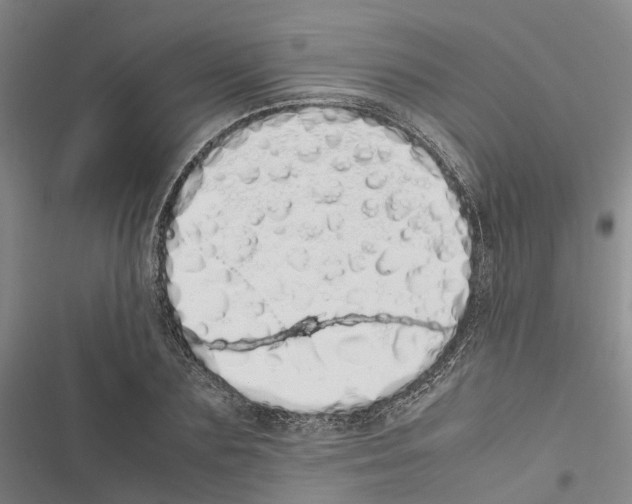 X0000116840883201001151245