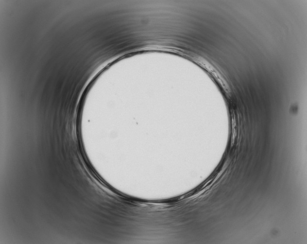 X0000116840884201001151245