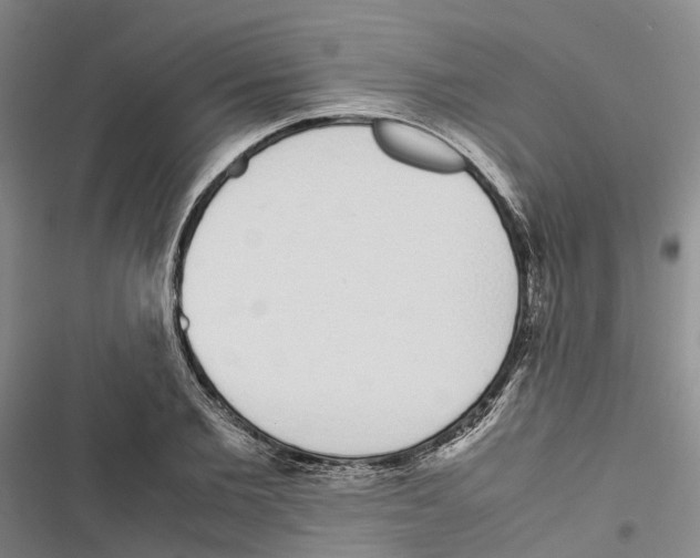 X0000116840885201001151245