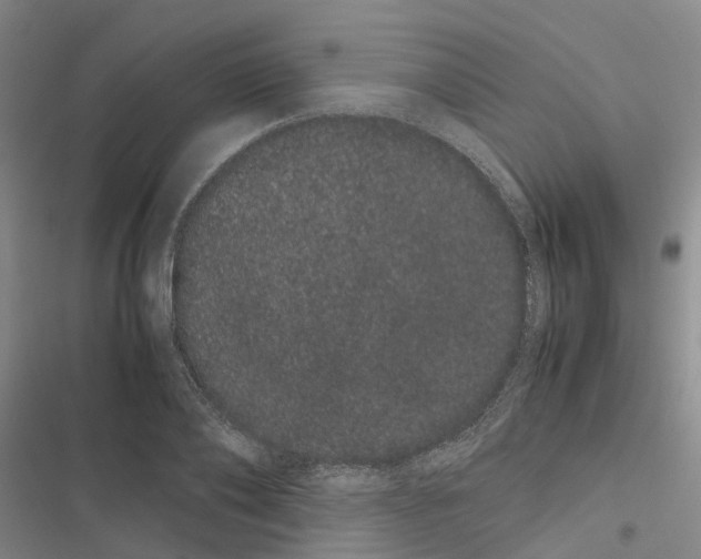 X0000116840886201001151245