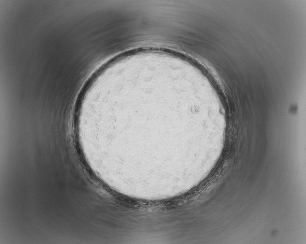 X0000116840887201001151245