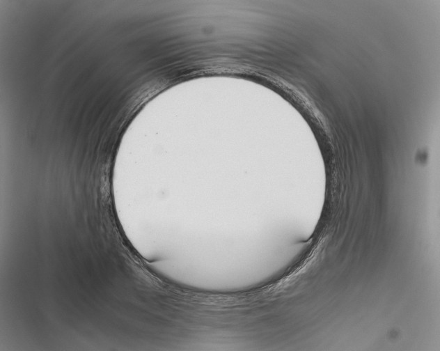 X0000116840889201001151245