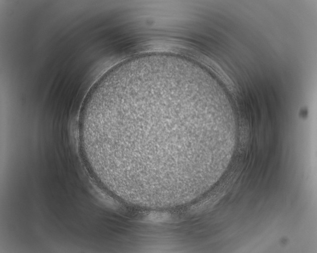 X0000116840890201001151245