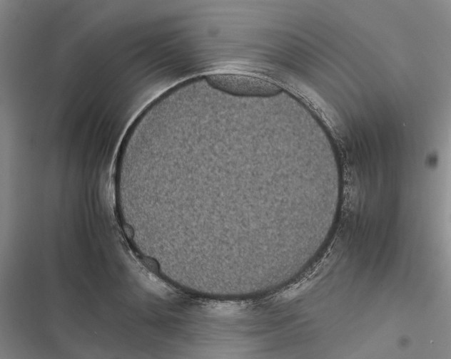 X0000116840892201001151245