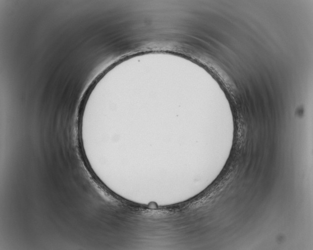 X0000116840894201001151245