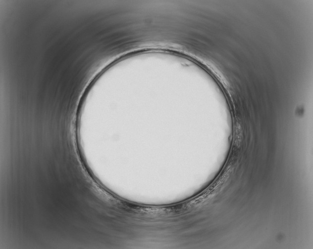 X0000116840895201001151245