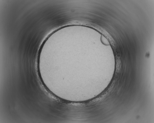 X0000116840896201001151245