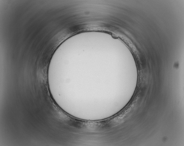 X0000116840897201001151245