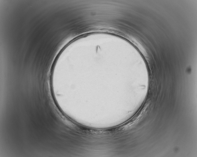 X0000116840899201001151245