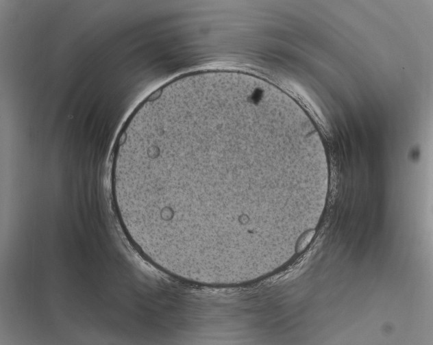 X0000116840900201001151245