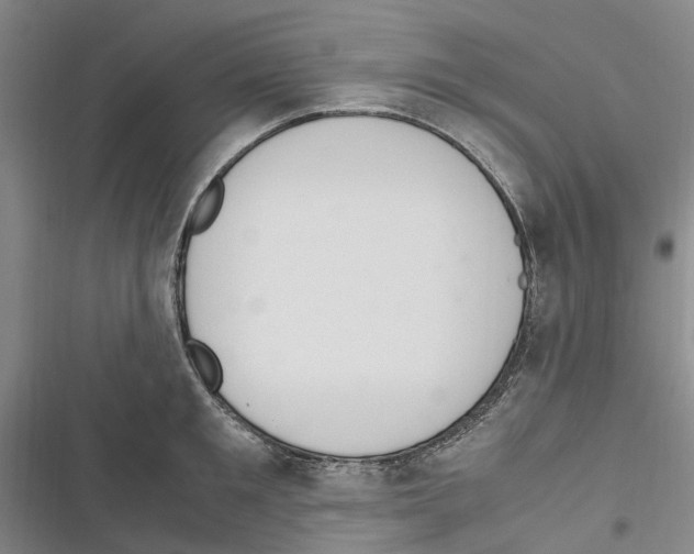 X0000116840901201001151245