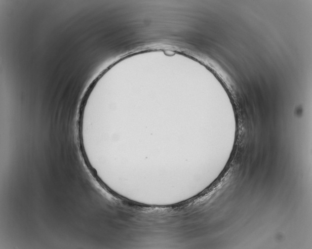 X0000116840902201001151244