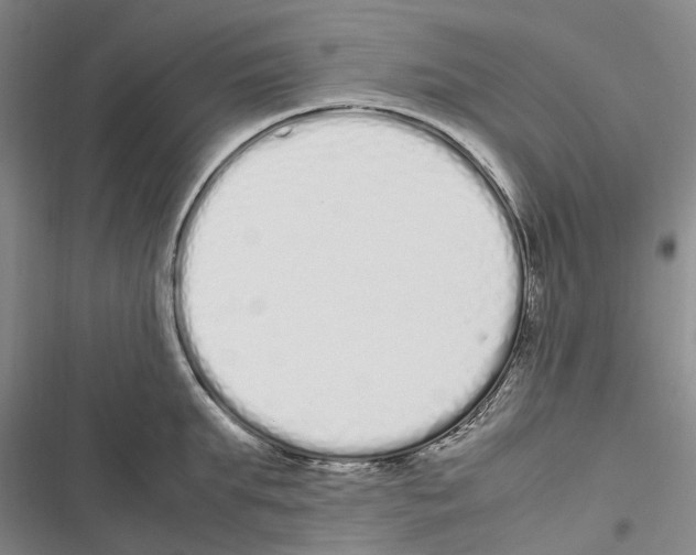 X0000116840903201001151244