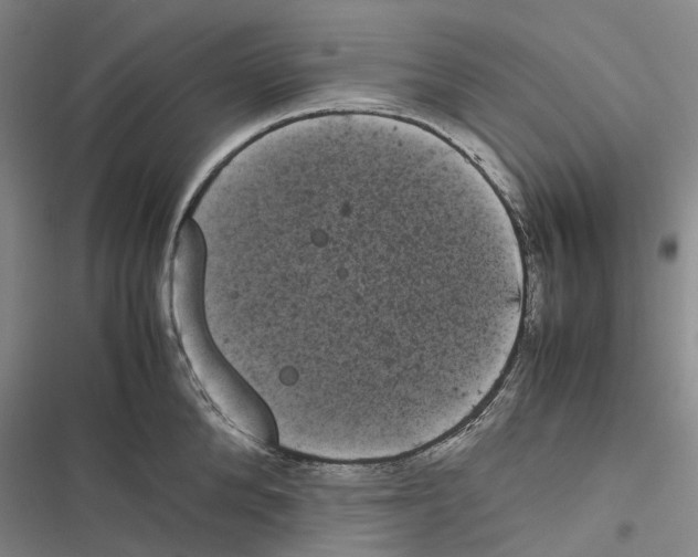 X0000116840904201001151244