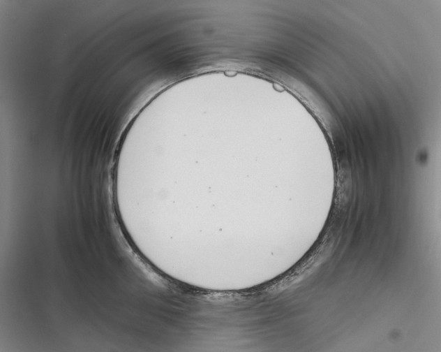 X0000116840906201001151244