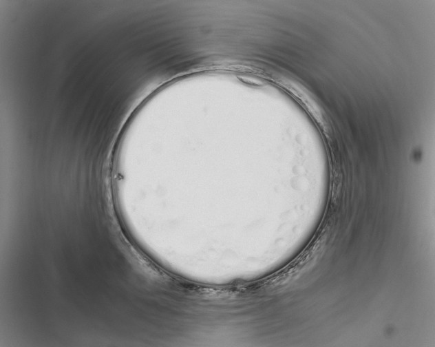 X0000116840907201001151244