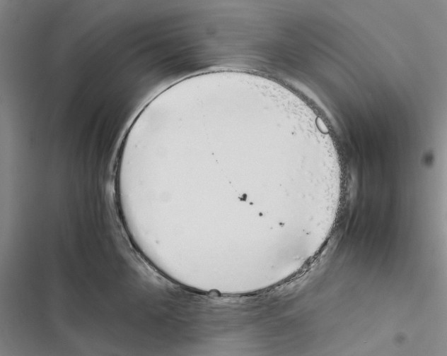 X0000116840908201001151244