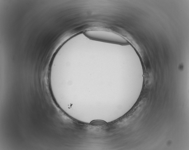 X0000116840909201001151244