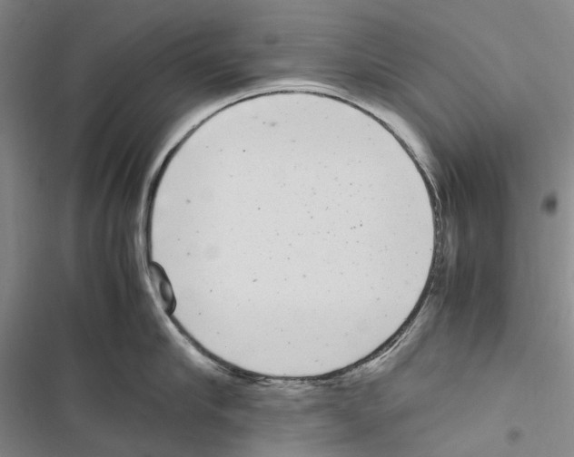 X0000116840910201001151244