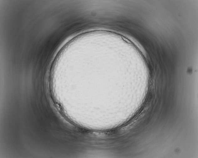 X0000116840911201001151244