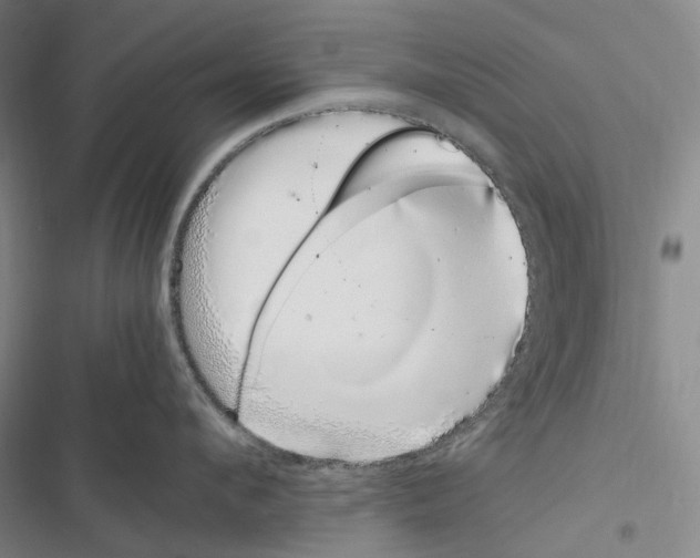 X0000116840912201001151244