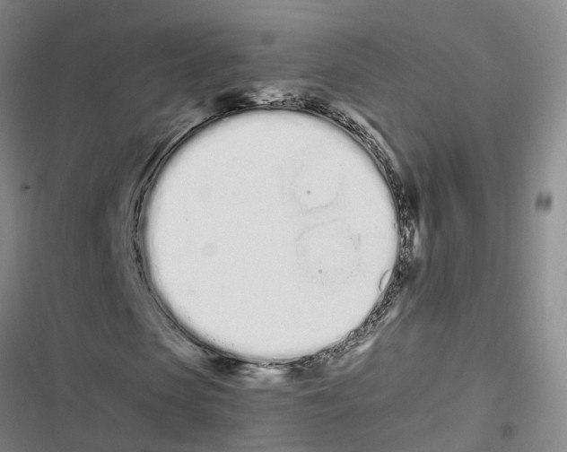 X0000116840913201001151244