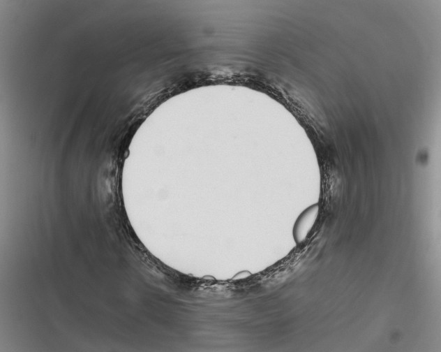 X0000116840914201001151244