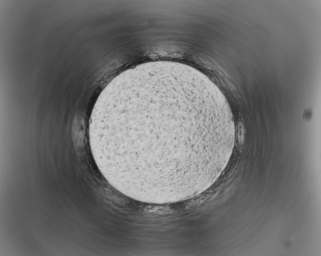 X0000116840915201001151244