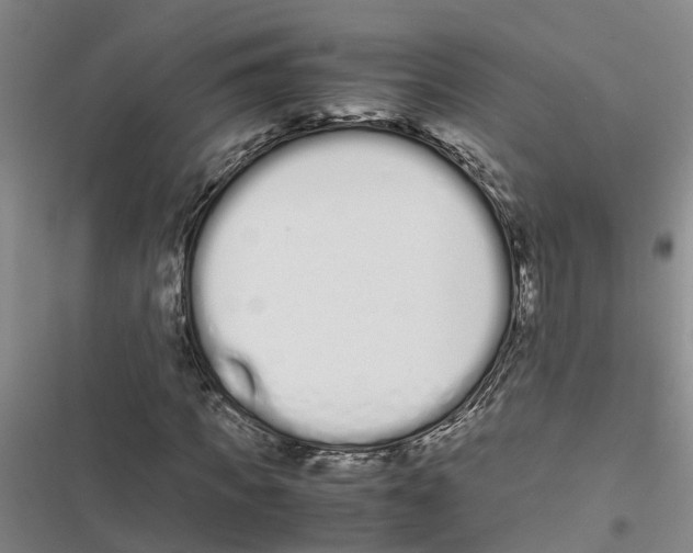 X0000116840917201001151244