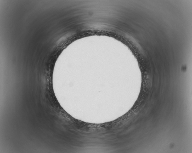 X0000116840918201001151244