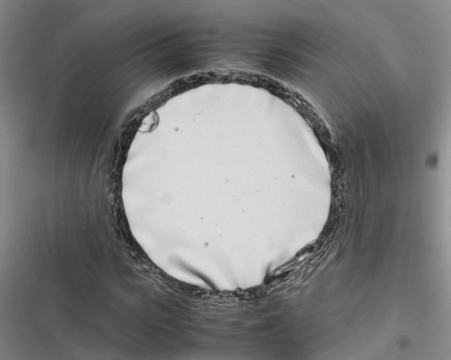 X0000116840919201001151244