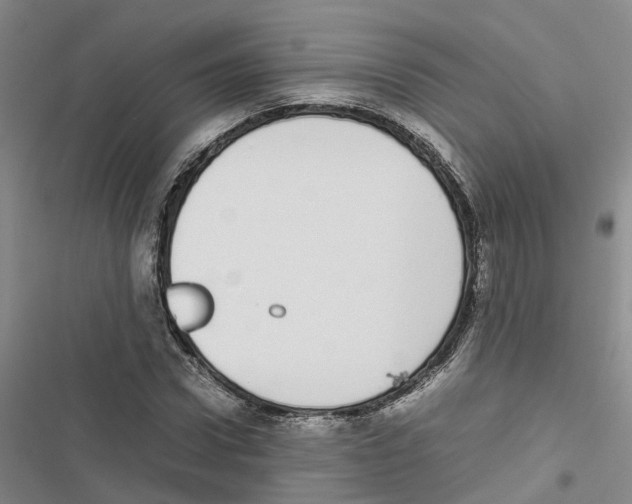 X0000116840922201001151244