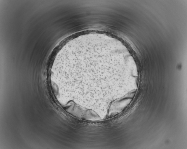 X0000116840923201001151244