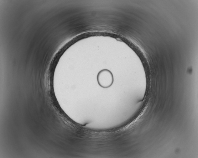 X0000116840925201001151244