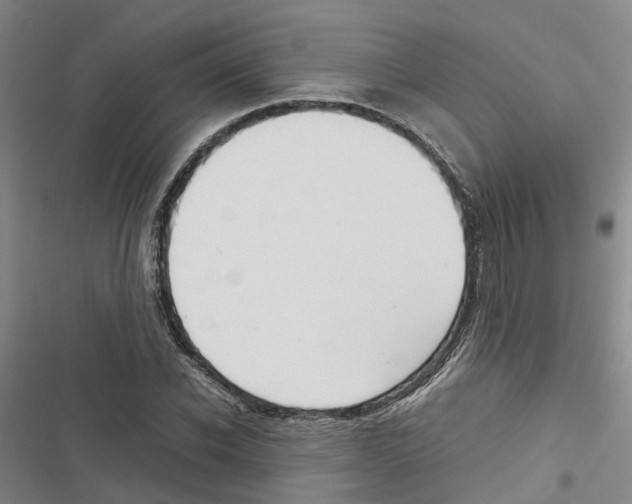 X0000116840926201001151244